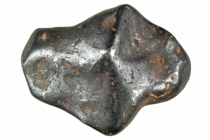 Canyon Diablo Iron Meteorite ( grams) - Arizona #243145